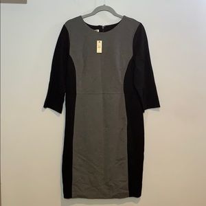 NWT Talbots Color Block Dress